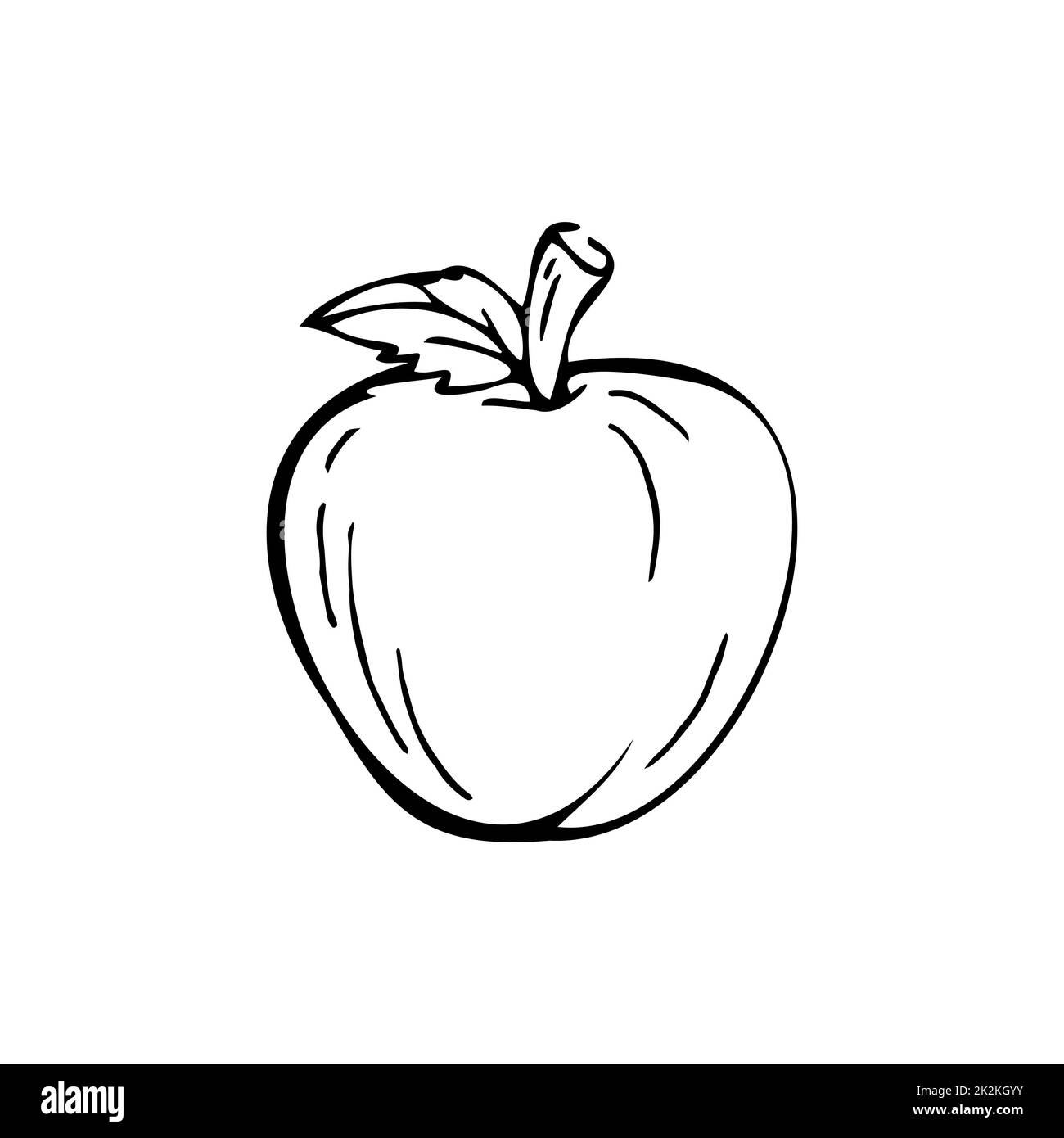 Linee nere sottili Apple su sfondo bianco - Vector Foto Stock