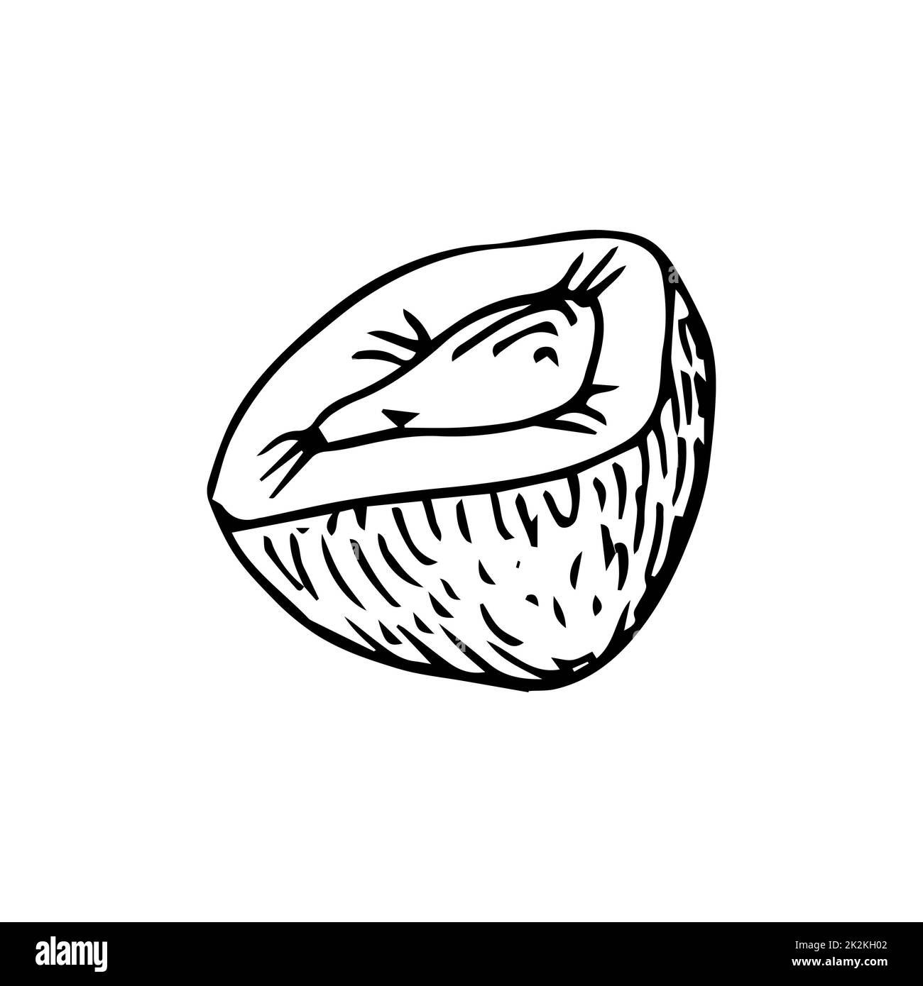 Un pezzo di melone sottili linee nere su uno sfondo bianco - Vector Foto Stock