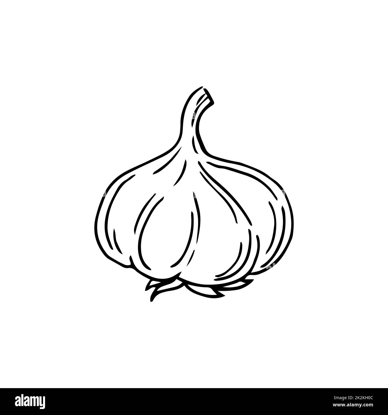 Broccoli sottili linee nere su sfondo bianco - Vector Foto Stock