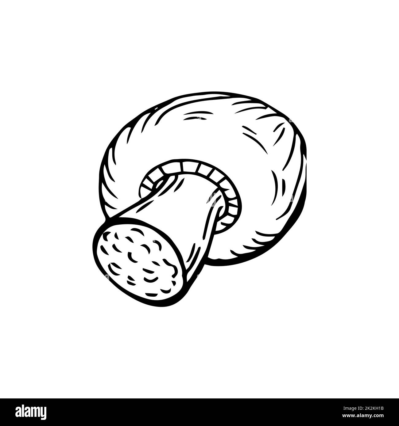 Champignon a fungo sottili linee nere su sfondo bianco - Vector Foto Stock