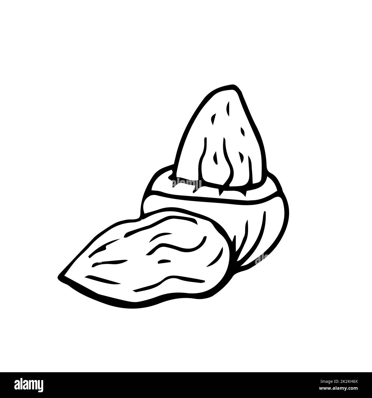 Noccioline sottili linee nere su sfondo bianco - Vector Foto Stock