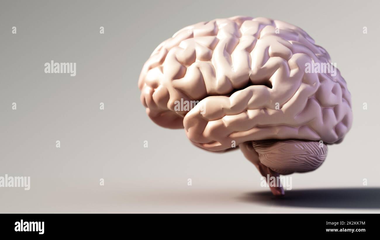 Cervello umano in piedi su sfondo di colore morbido. Spazio di copia a sinistra. Illustrazione 3D Foto Stock