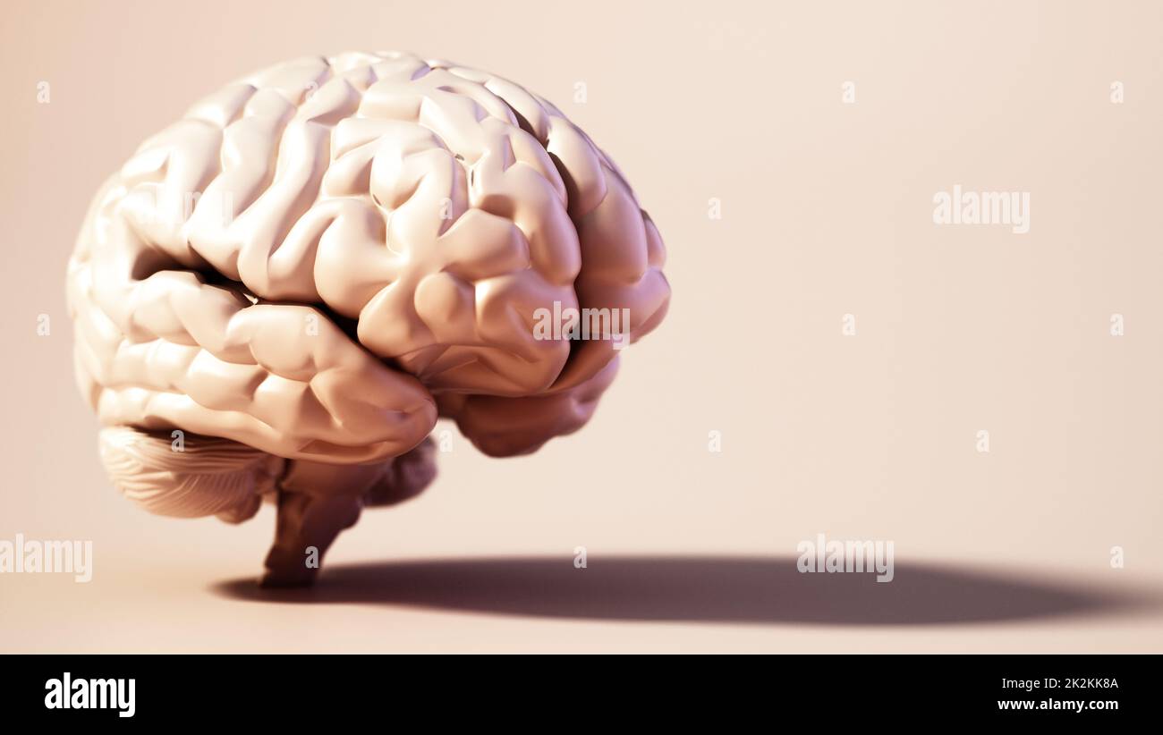 Cervello umano in piedi su sfondo di colore morbido. Copia spazio a destra. Illustrazione 3D Foto Stock