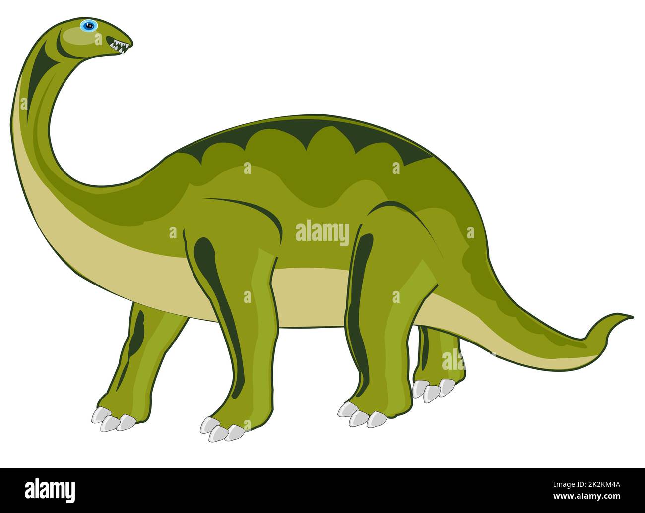 Il dinosauro erbivoro su sfondo bianco è isolato Foto Stock