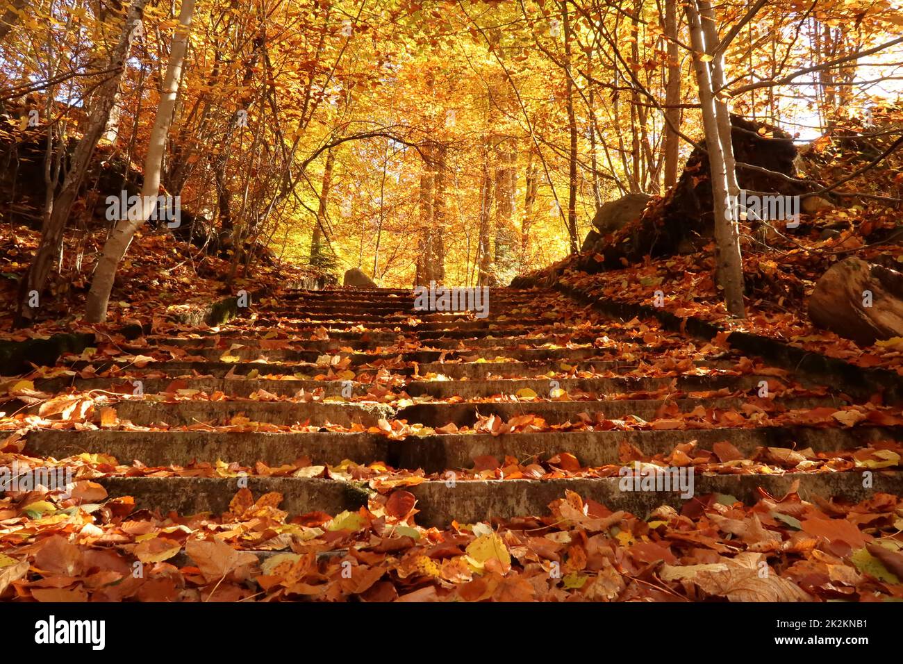 Scalinata coperta di foglie e cime colorate sullo sfondo di Rila Foto Stock