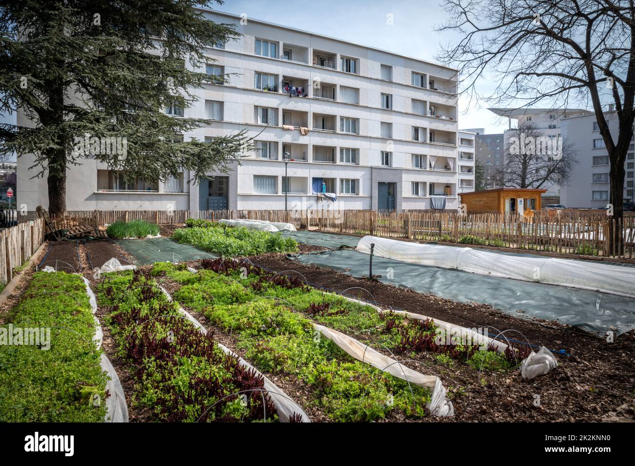 Contenitore vegetale per giardinaggio in una città Foto Stock