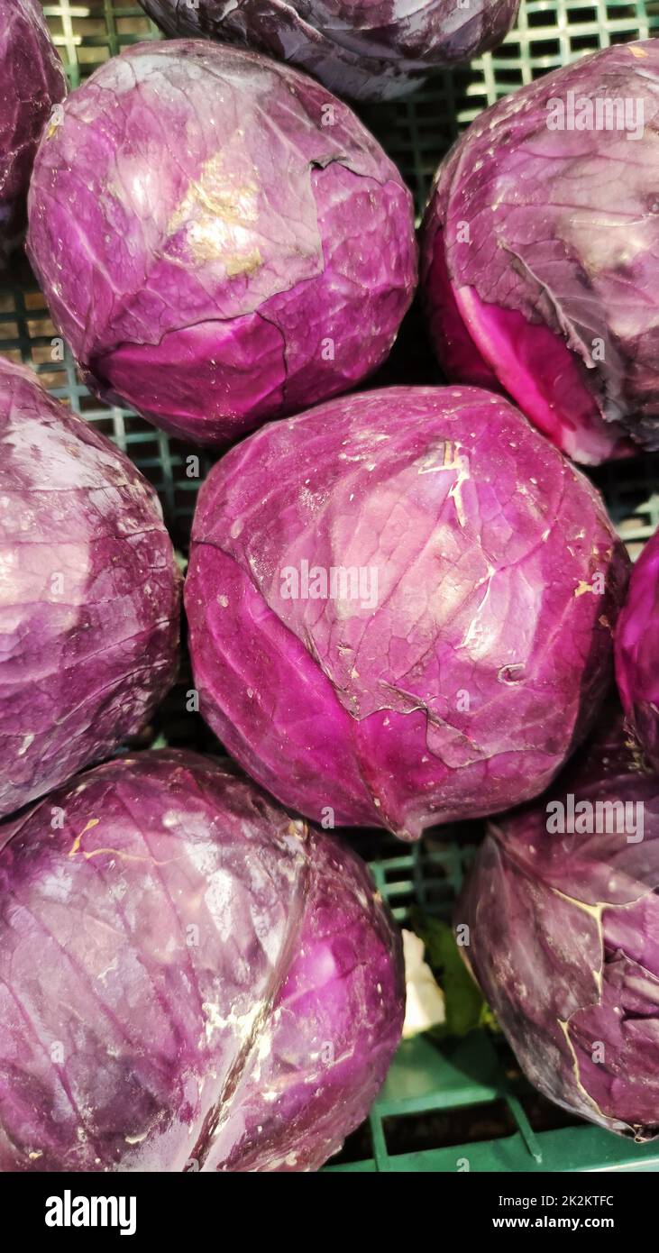 Cavoli viola accatastati in un mercato degli agricoltori. Foto Stock