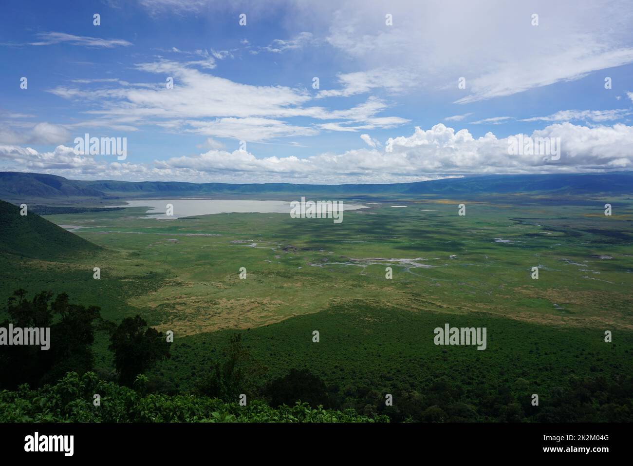 Spettacolare vista sulla lussureggiante vegetazione intorno al Lago Magadi, il Cratere di Ngorongoro Foto Stock