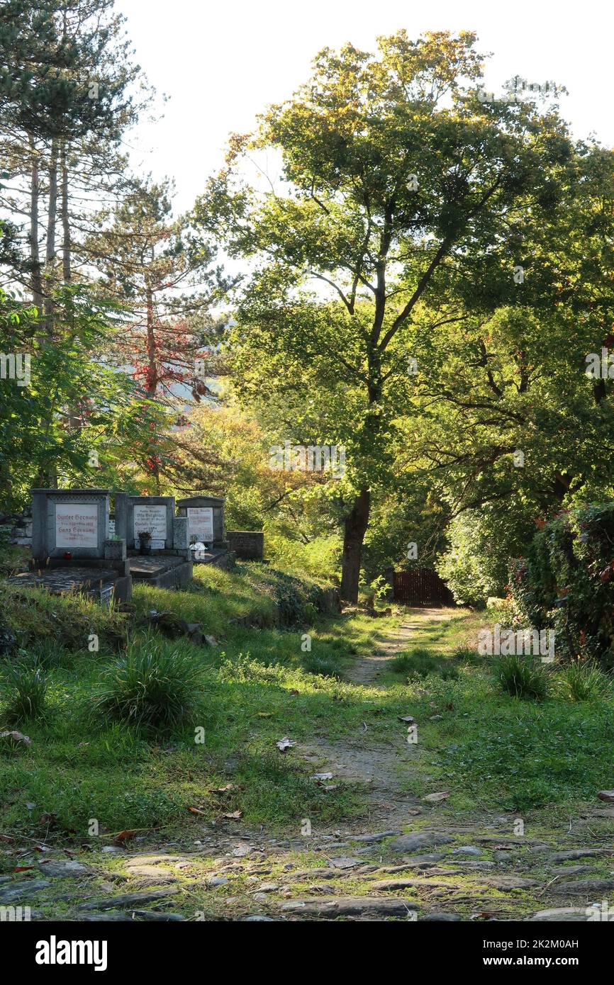 Pittoresco scenario nel cimitero tedesco di Sighisoara Foto Stock