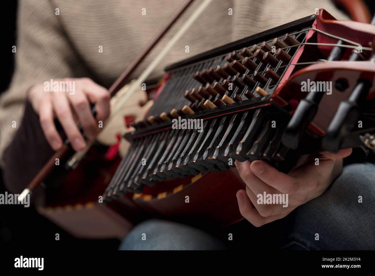 Primo piano sulle chiavi di un moderno nyckelharpa Foto Stock