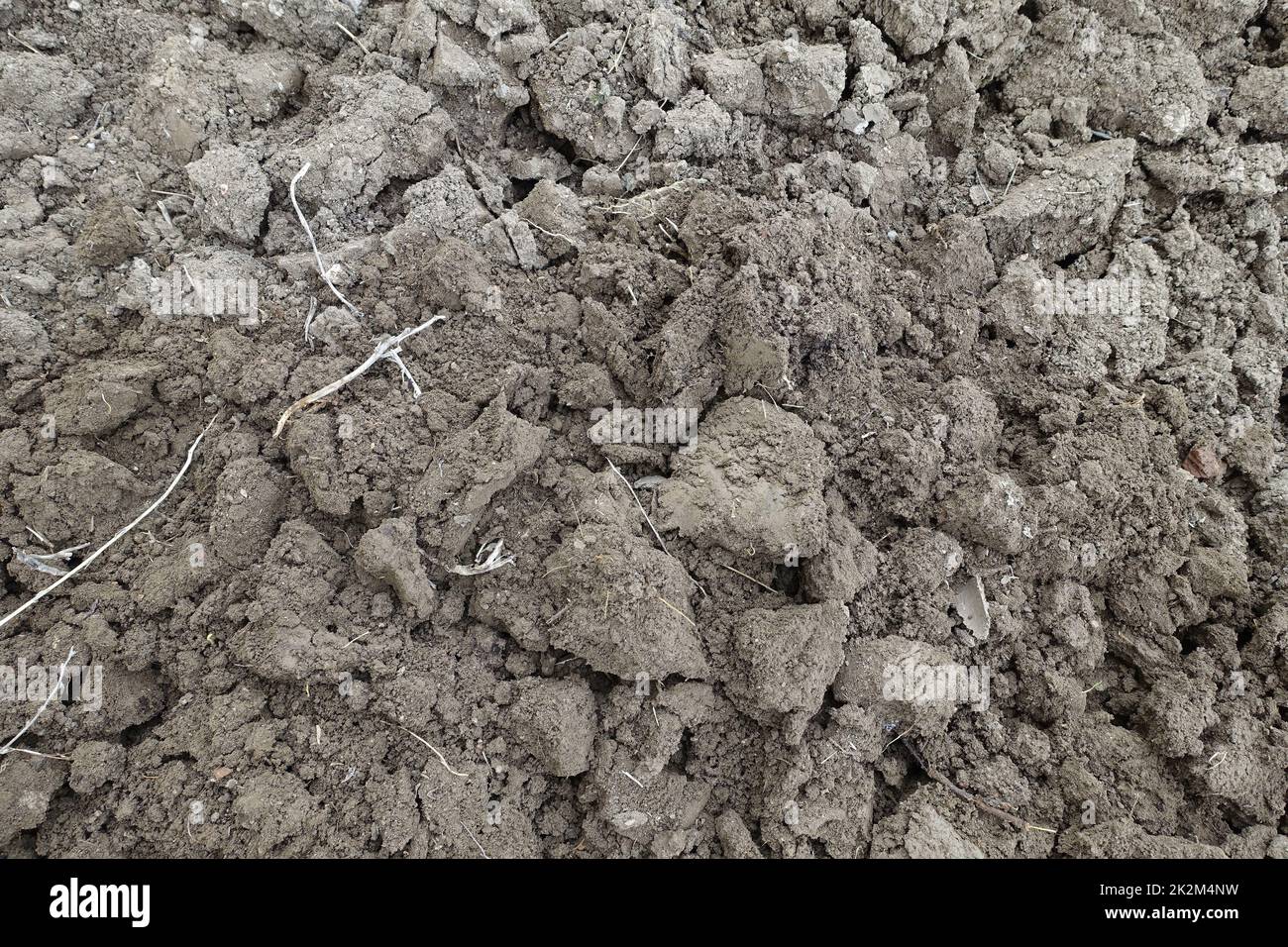 aerazione-scavo del terreno per piantare l'area del giardino con una pala da scavo Foto Stock