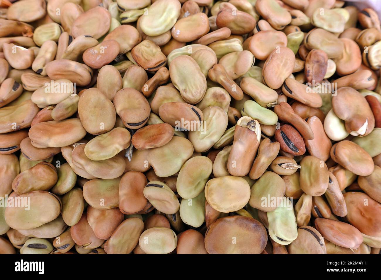 Semi di fagiolo largo non confezionati, semi di fagiolo largo biologici, venditore di semi e semi antenati venduti in sacchetti di stoffa presso negozi di semi Foto Stock