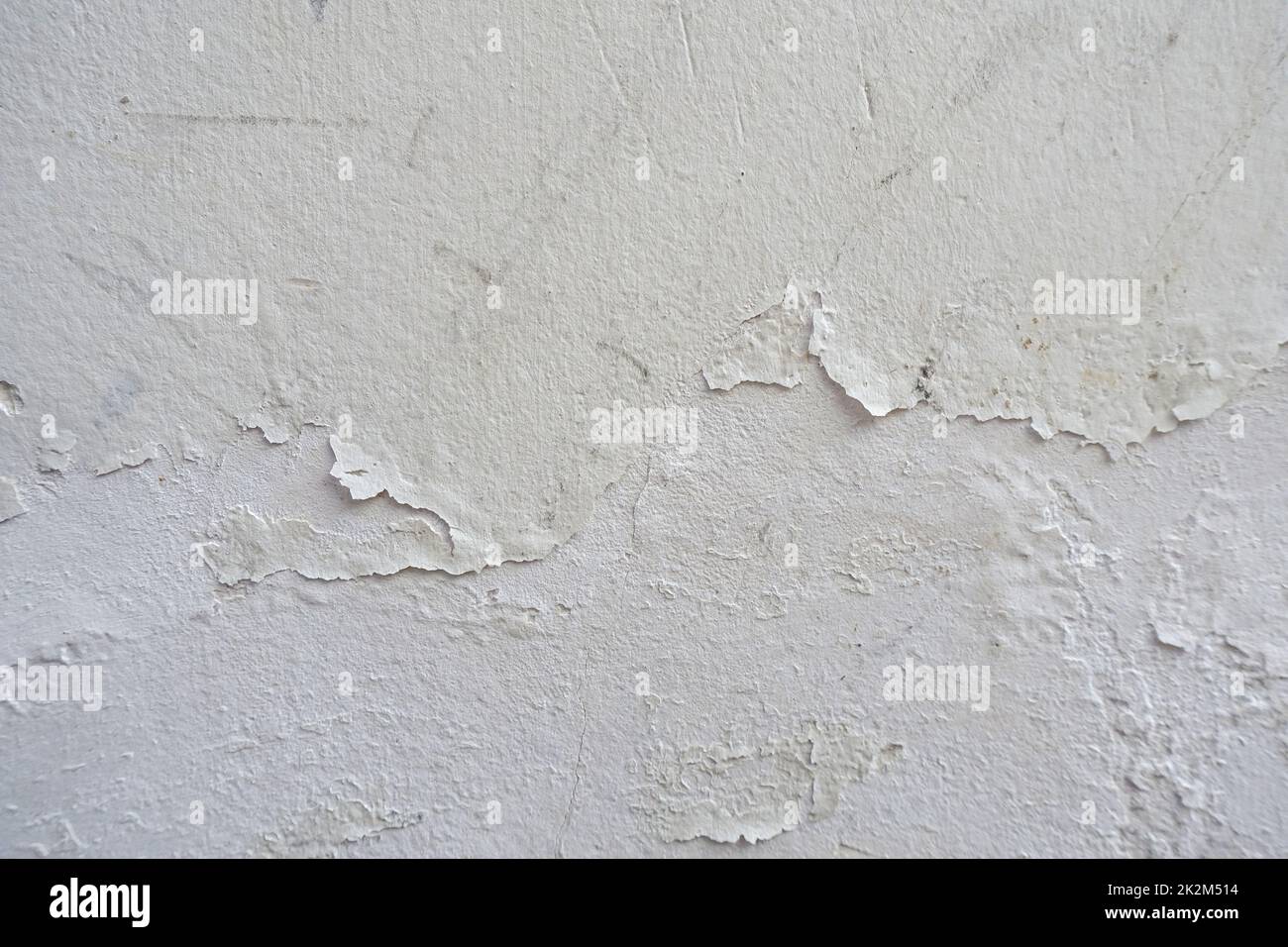 il muro che è ammuffito e deformato a causa dell'umidità Foto Stock