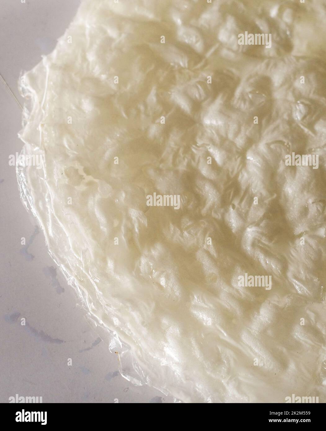 Dry GÃ¼llaÃ§, GÃ¼llaÃ§ da dessert ottomani, GÃ¼llaÃ§ dessert in Ramadan Foto Stock