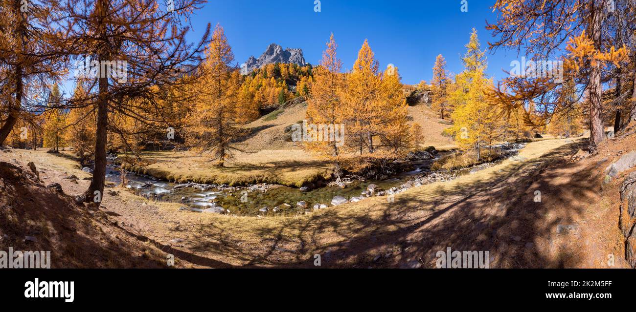 Claree Valley con larici e fiume. Autunno nel Massiccio delle Cerces. Vallee de la Claree, Nevache, Hautes Alpes, Alpi, Francia Foto Stock