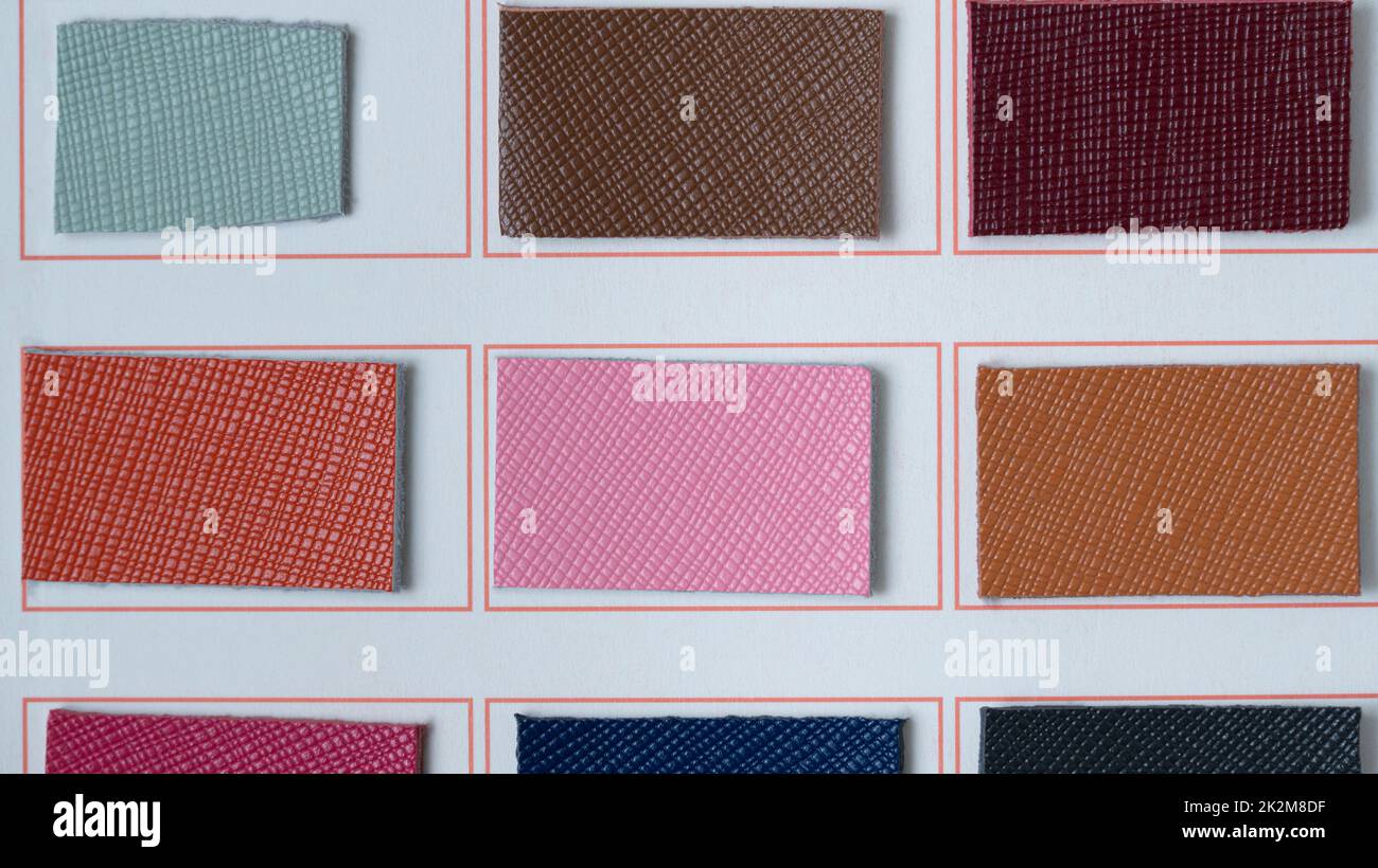 swatch book in pelle saffiano di vari colori (blu cielo, marrone, vino, arancio, rosa, cammello) Foto Stock
