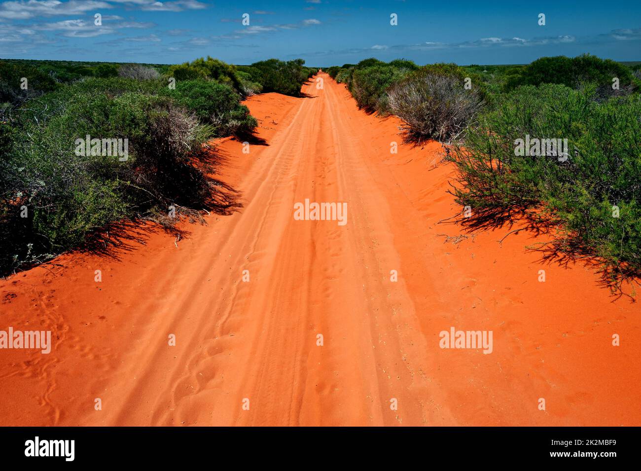 Tipica pista di sabbia rossa nell'Outback australiano. Foto Stock