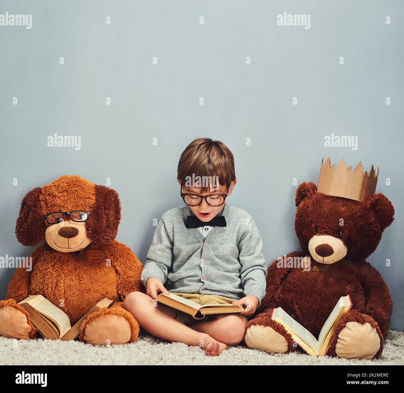 Ottenere una lettura fatta. Studio girato di un ragazzo intelligente leggere un libro accanto ai suoi orsacchiotti su uno sfondo grigio. Foto Stock