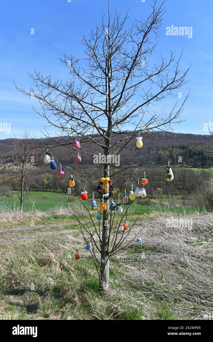 Donna rurale decorare un albero di Pasqua Foto Stock