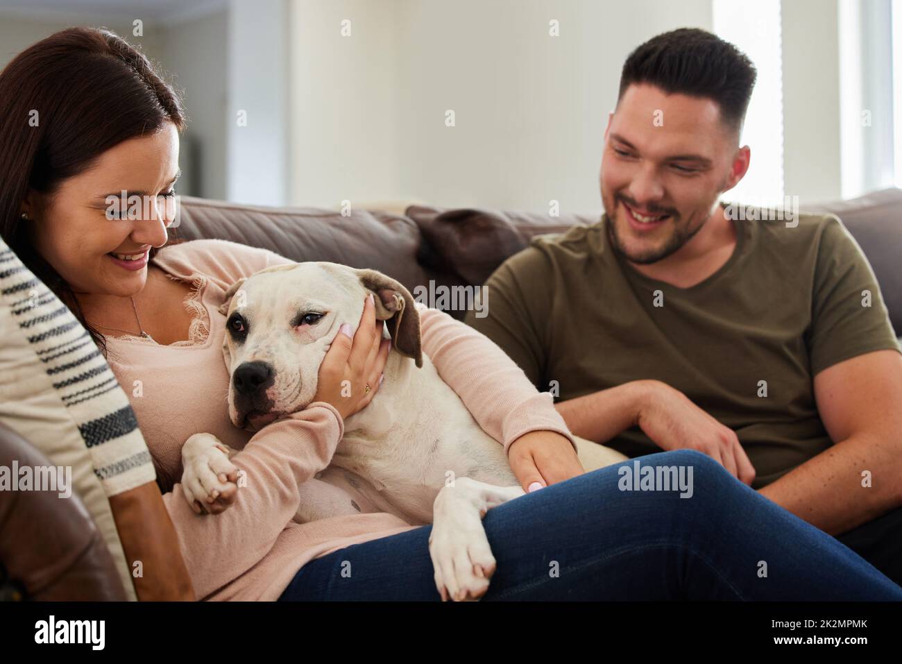 HES il nostro bambino di pelliccia. Scatto corto di un cane seduto a casa con i suoi genitori umani. Foto Stock