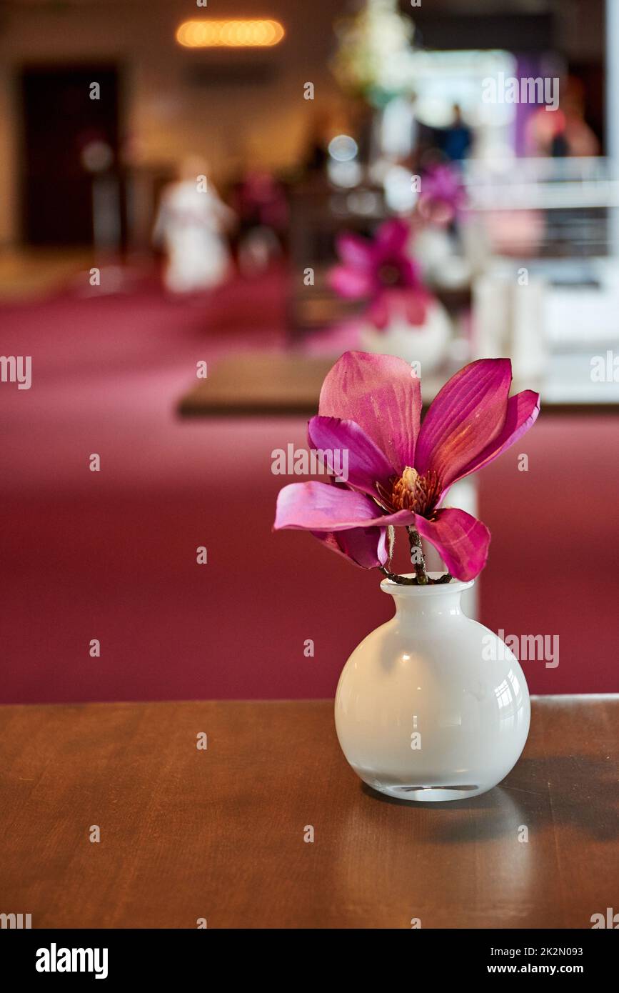 fiore viola in vaso in un hotel Foto Stock