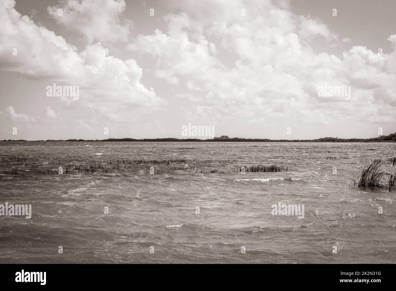 Vista panoramica sulla laguna di Muyil nella giungla tropicale del Messico. Foto Stock