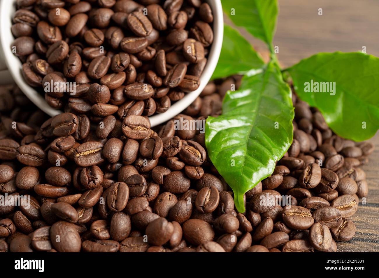 Caffè in chicchi medio arrostito con foglie al mattino fresco. Foto Stock