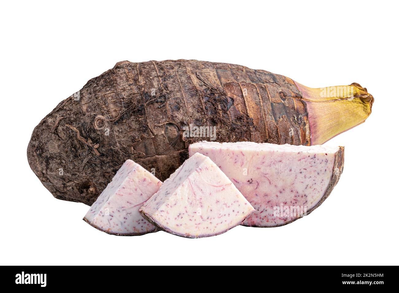 Taro o colocasia esculenta e fetta isolata su sfondo bianco con tracciato di ritaglio. Foto Stock