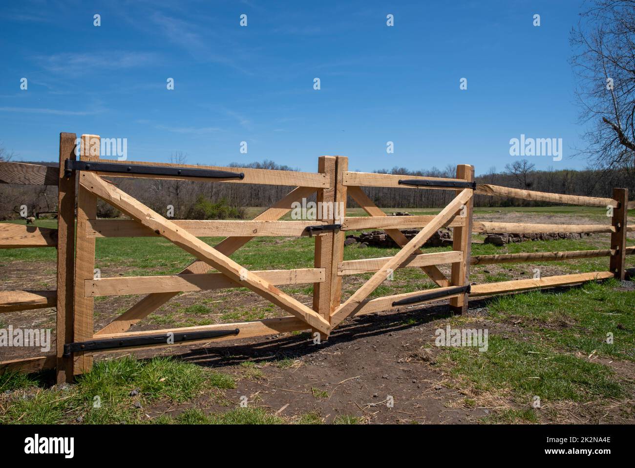 Un nuovissimo cancello di recinzione in legno a binario diviso in un pascolo soleggiato Foto Stock