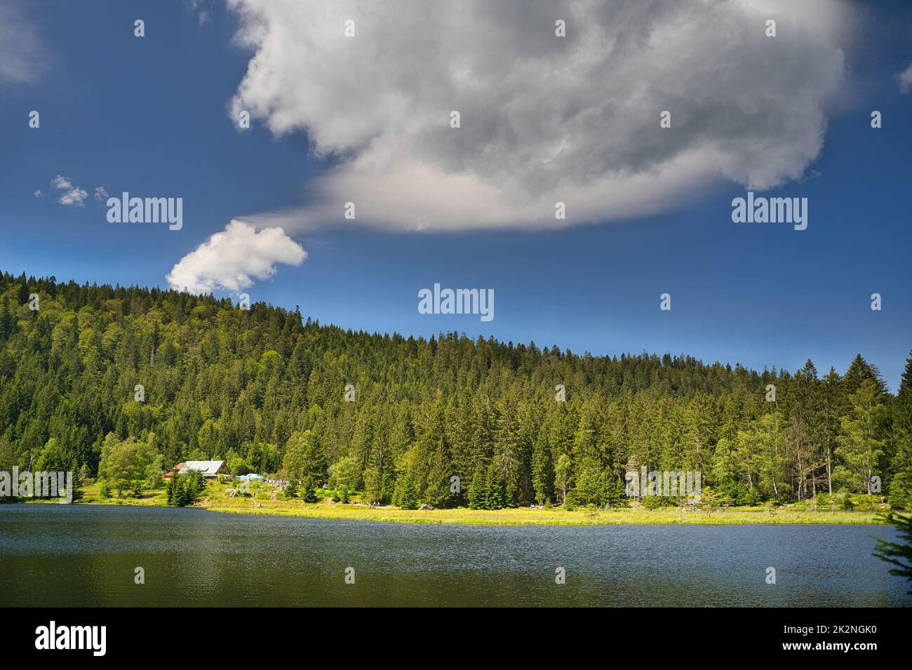 Bellissimo piccolo lago Arber nella Foresta Bavarese, Germania. Foto Stock