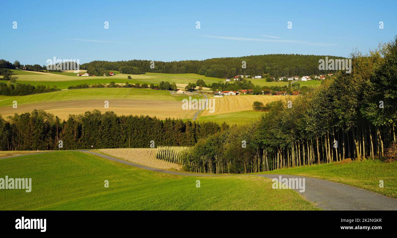 Alcuni idilliaci fattorie e case in Baviera, circondato da campi di mais e boschi. Foto Stock