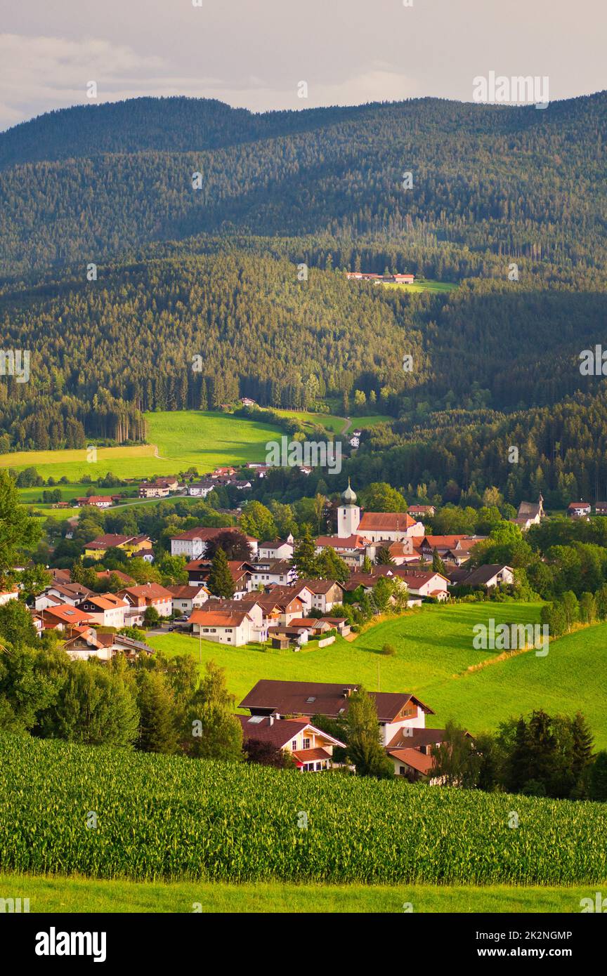 Lam, una piccola cittadina nella foresta bavarese nel Palatinato superiore, Baviera, Germania. Foto Stock