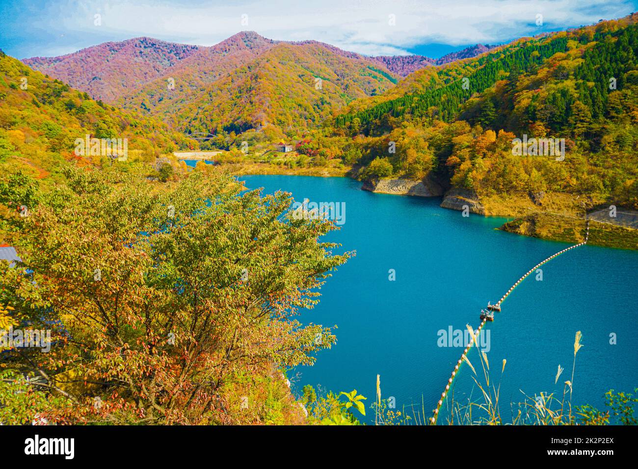 Okaw quattromila foglie autunnali Foto Stock