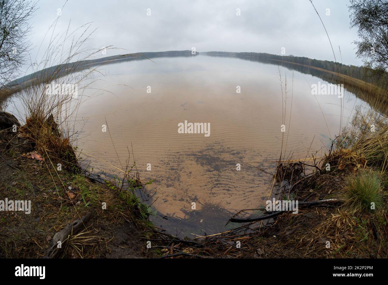 Paesaggio naturale. Lago Senftenberg in tempo nuvoloso. Obiettivo fisheye. Stato federale di Brandeburgo. Germania. Foto Stock