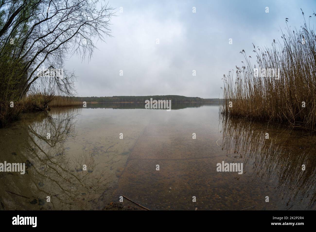 Paesaggio naturale. Lago Senftenberg in tempo nuvoloso. Stato federale di Brandeburgo. Germania. Foto Stock