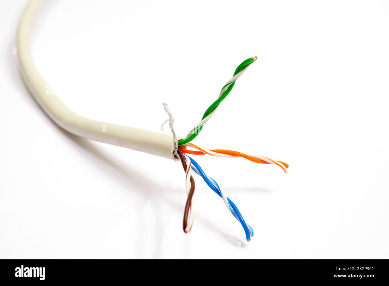 Tagliare il cavo di rete bianco o il cavo patch in sezione trasversale Foto Stock
