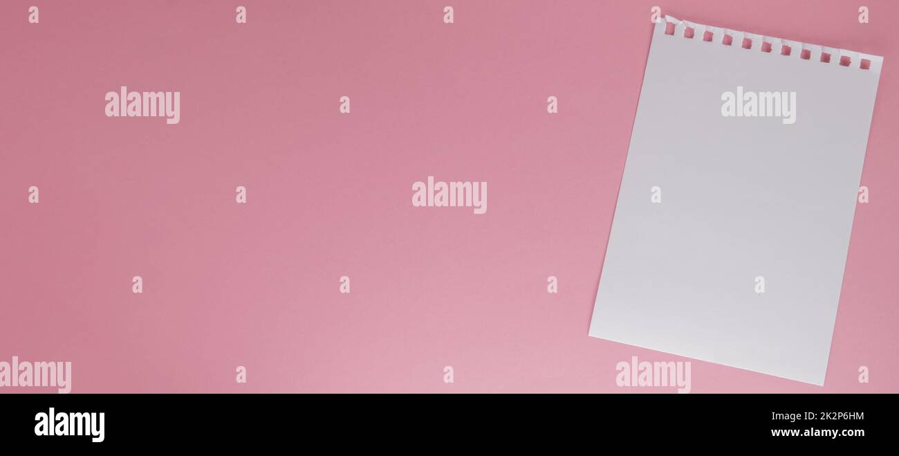 Un foglio bianco di carta strappato da un notebook, su sfondo rosa con una copia dello spazio Foto Stock