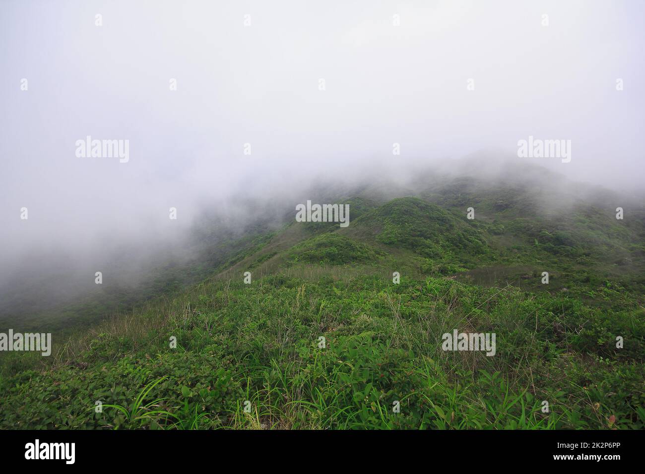 La nebbia si spostò sulle montagne dopo la pioggia. Foto Stock