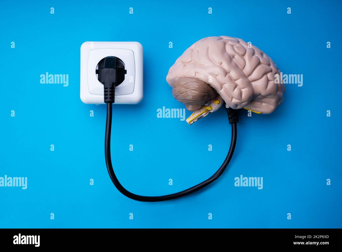 Ricarica Brain Intelligence con Socket Plug Foto Stock
