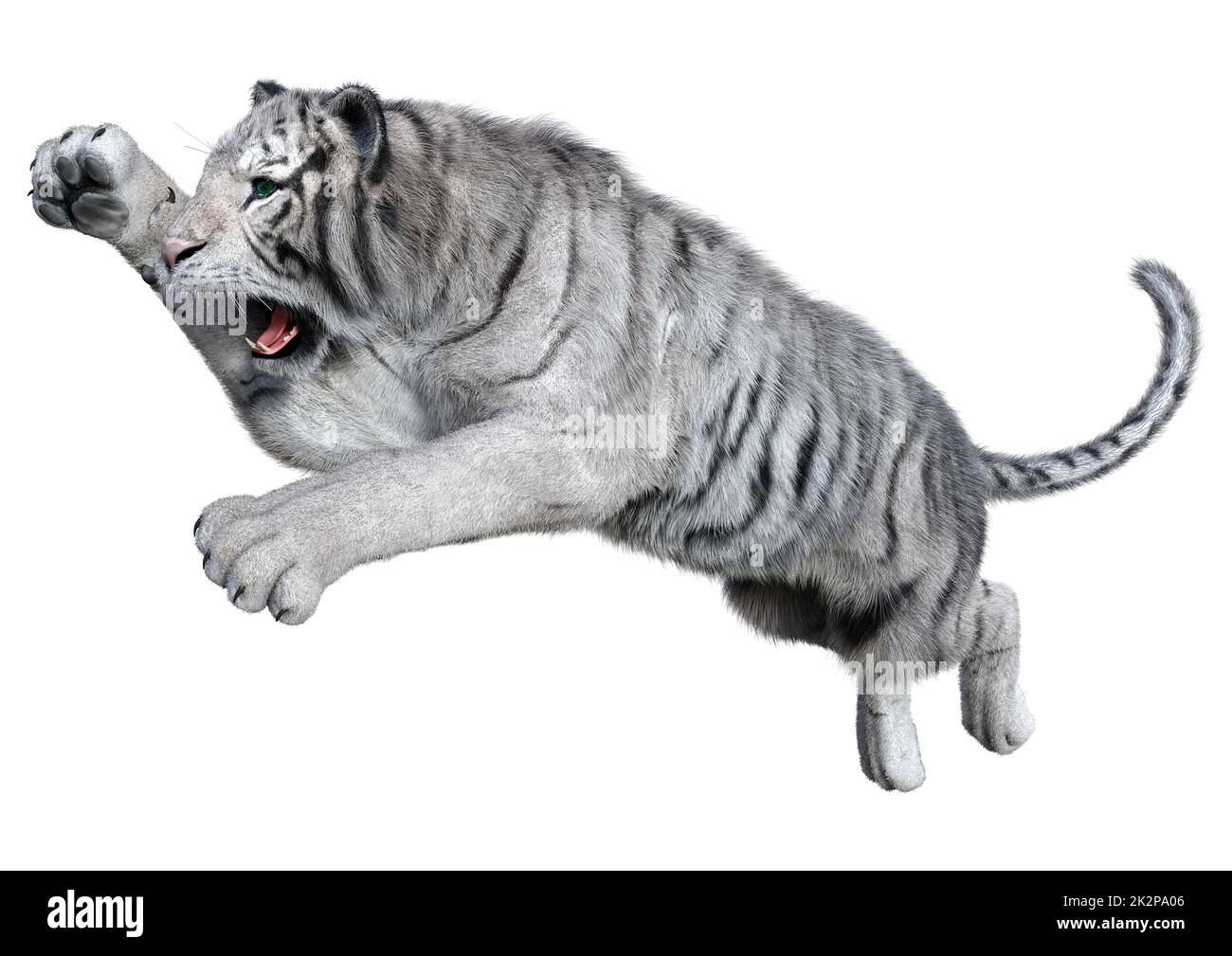 3D Rendering Tigre Bianca su bianco Foto Stock