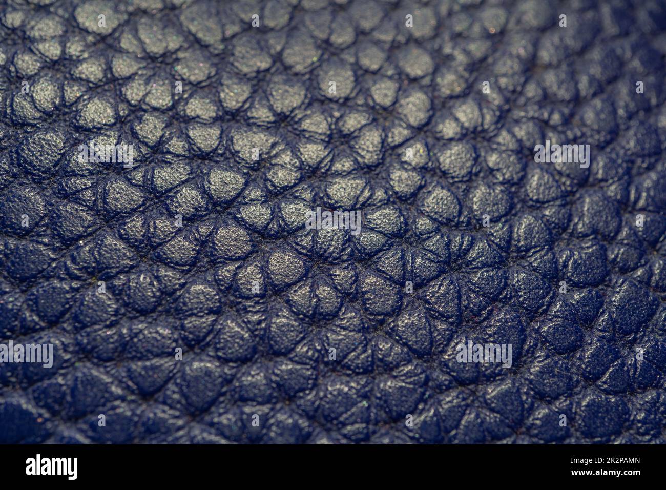 Struttura di fondo in pelle di coccodrillo. fotografia macro Foto Stock