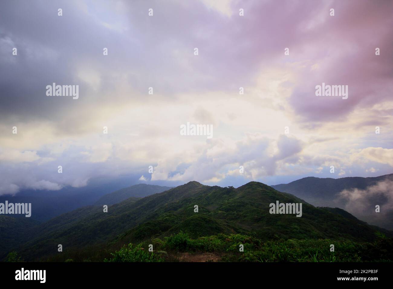 La nebbia si spostò sulle montagne dopo la pioggia. Foto Stock