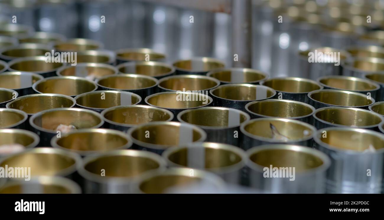 Fabbrica di pesce in scatola. Industria alimentare. Molte lattine di sardine su un nastro trasportatore. Sardine in salsa di pomodoro rosso in lattine in fabbrica alimentare. Linea di produzione alimentare. Industria alimentare. Foto Stock