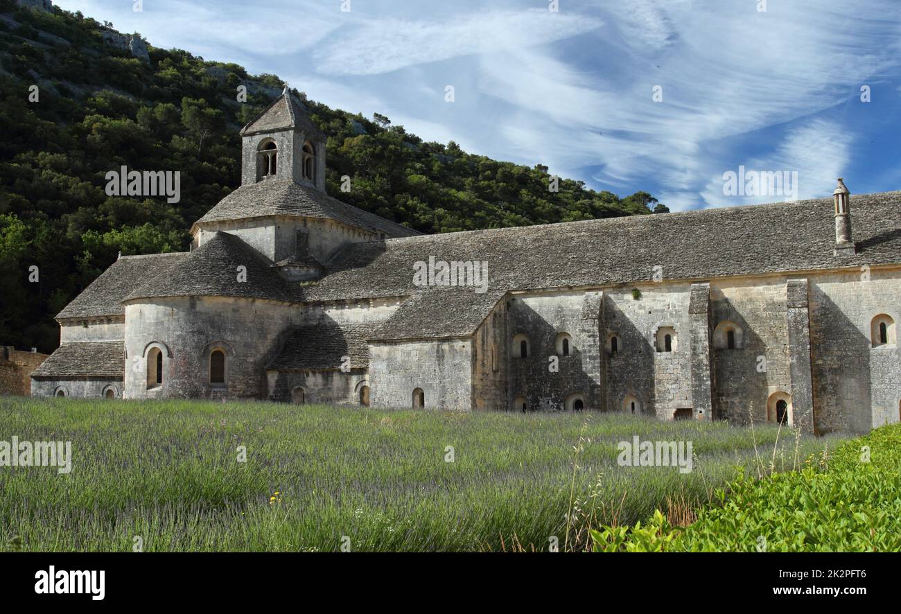 Abbazia cistercense di Senanque e filari fiorenti di lavanda. Gordes, Vaucluse, Provenza - Francia Foto Stock