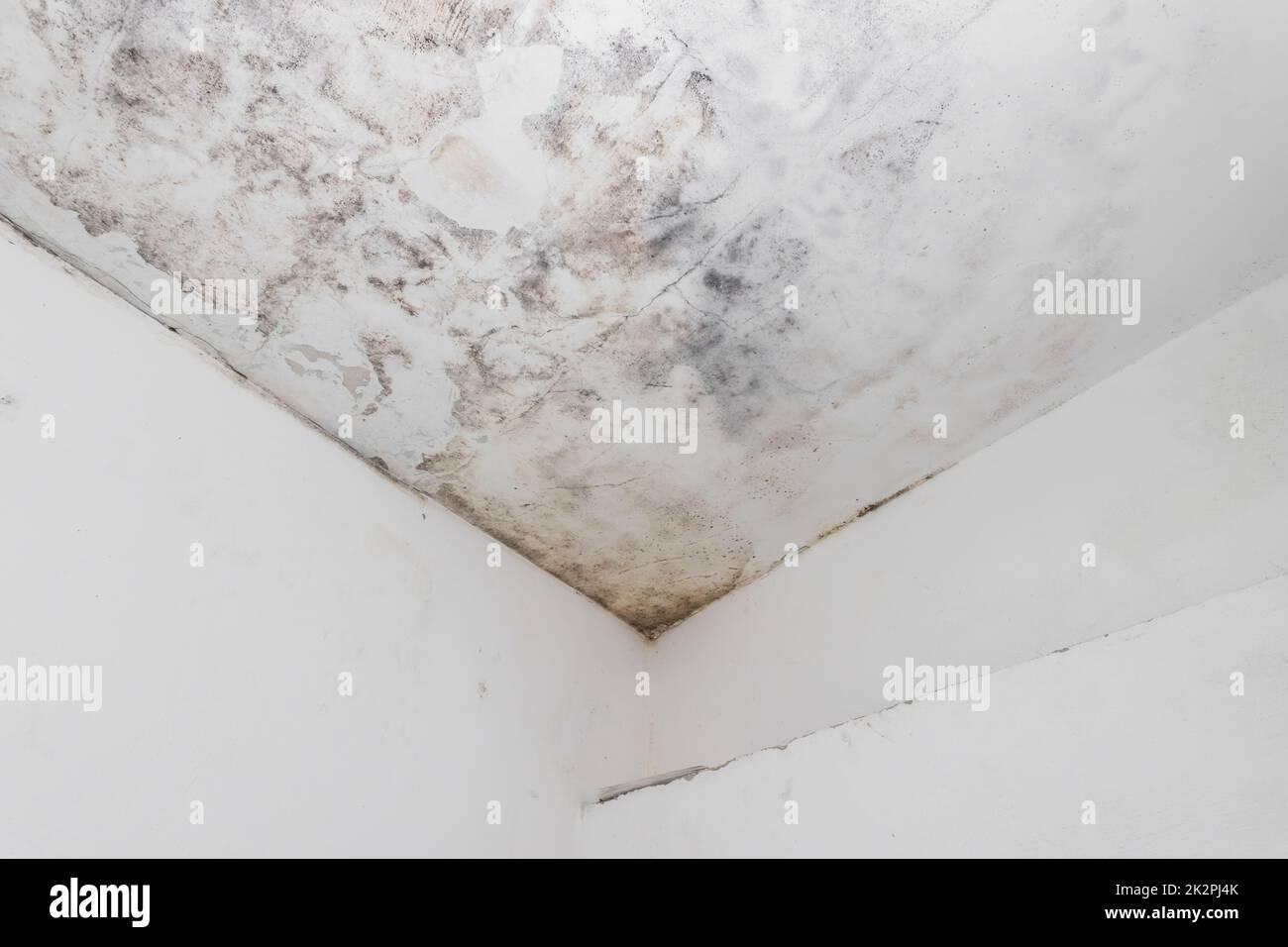 Macchie di acqua e muffa sul soffitto di casa Foto Stock