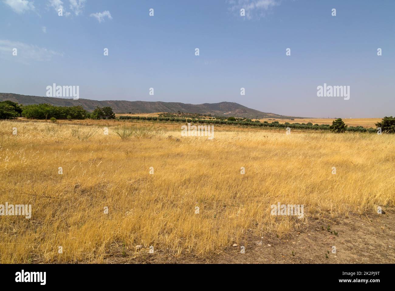 Parco naturale della Sierra de Grazalema Foto Stock