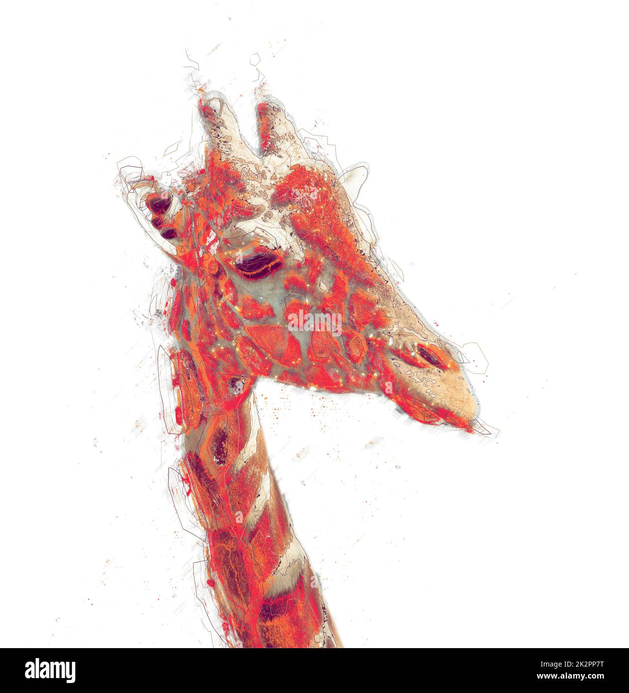 Giraffa ritratto, disegno a mano illustrazione. Isolato. Contiene il tracciato di ritaglio Foto Stock