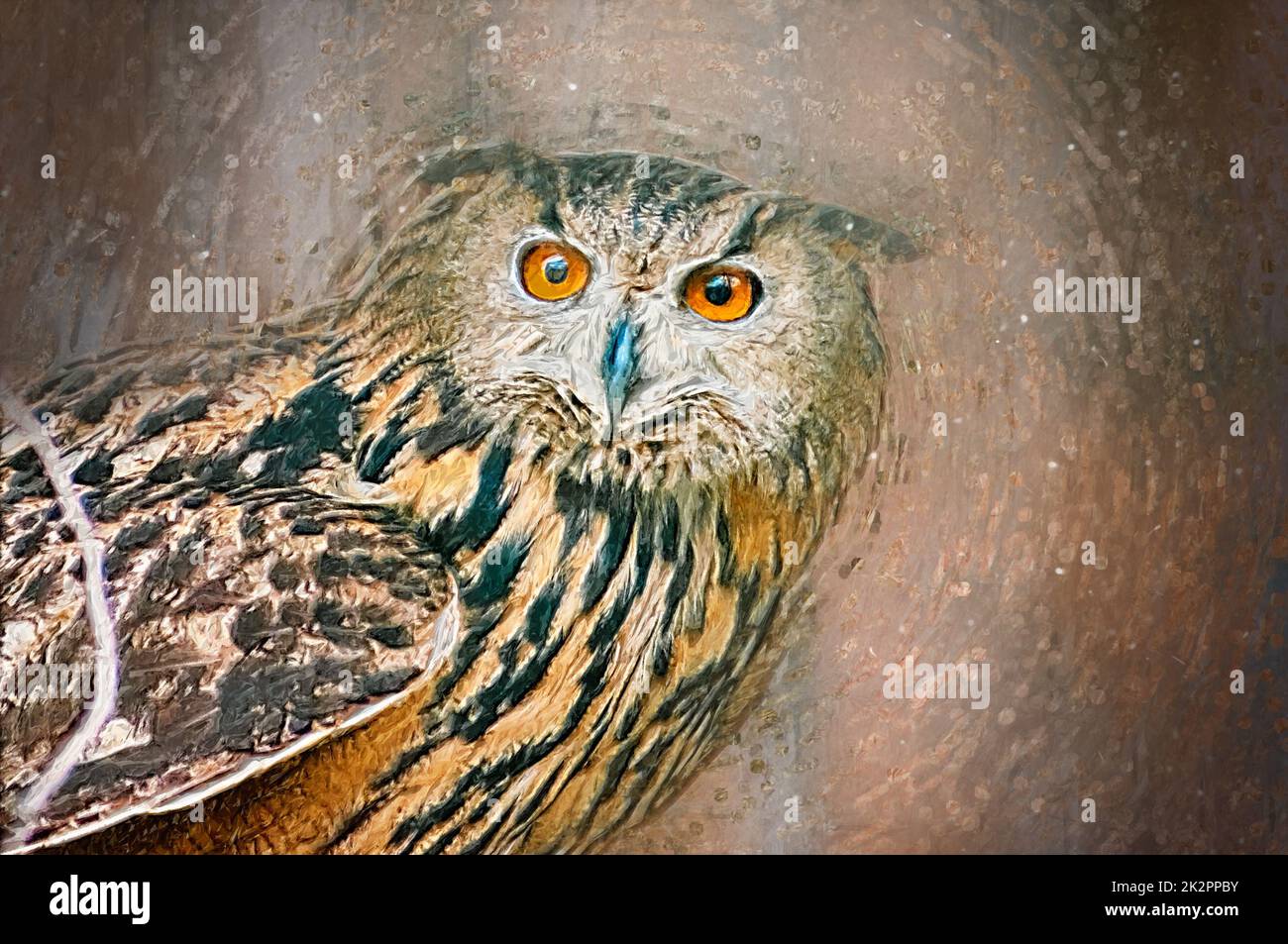 Ritratto di gufo. Illustrazione disegnata Foto Stock