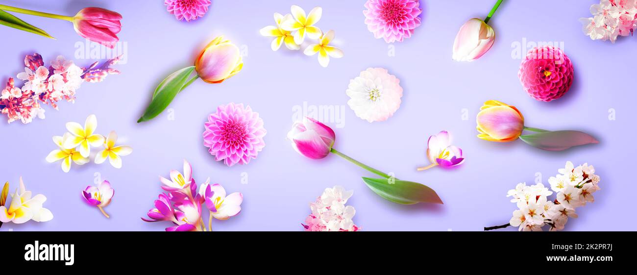 Fiori ed erbe. Composizione floreale creativa primaverile. Foto Stock