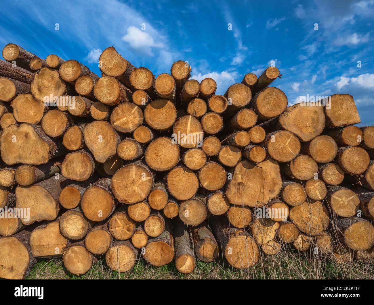 Landsage con un mucchio di legno Foto Stock